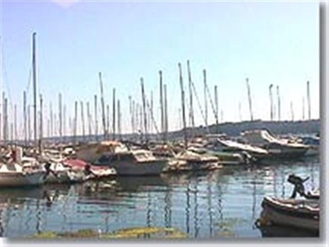 A découvrir aux alentours du Camping la Pinède